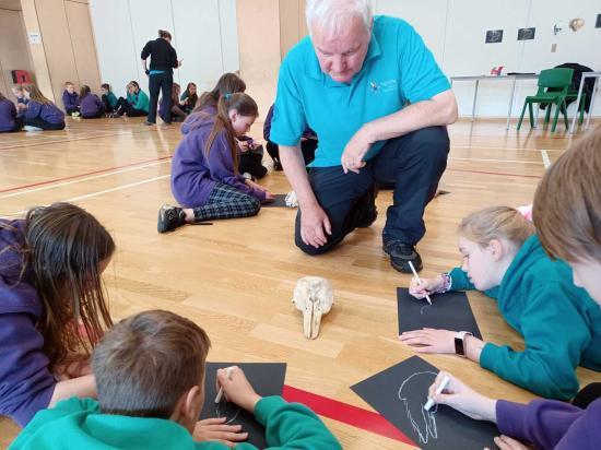 Photograph of Learning About Our Scottish Mammals Through Looking At Skulls With Ranger Donald Mitchell