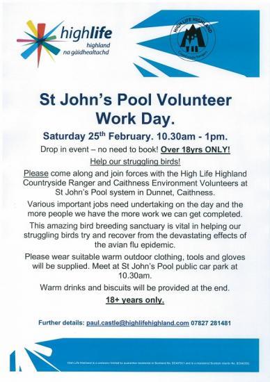 Photograph of Volunteer Work Day At St John's Pool