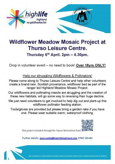 Photograph of Willd flower Meadow Mosaic Project At Thurso