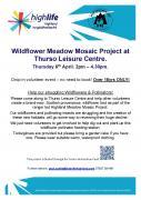 Thumbnail for article : Willd flower Meadow Mosaic Project At Thurso
