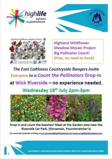 Photograph of Wick Riverside Pollinator Day