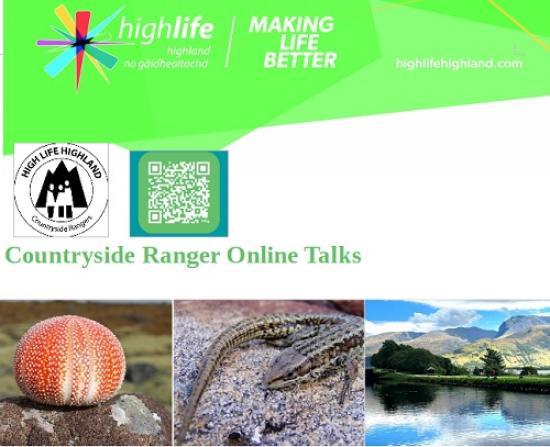 Photograph of Countryside Ranger Online Talks